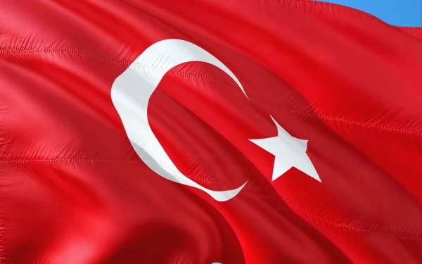 10 najlepszych darmowych aplikacji do nauki tureckiego