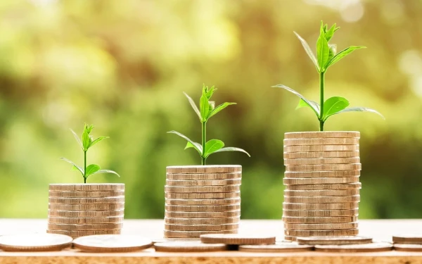 Kursy inwestowania online - TOP 10 szkoleń dla początkujących